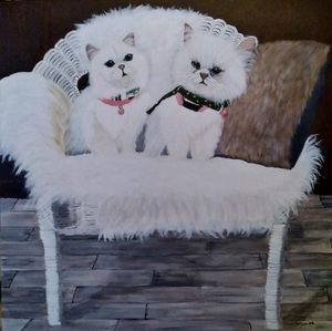 Meet your Posher, Steeve